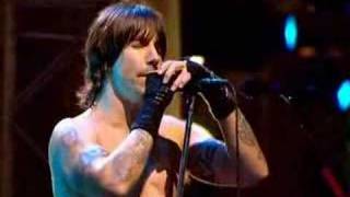 Red Hot Chili Peppers Under The Bridge LIVE [upl. by Eimarrej561]