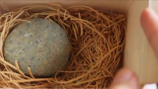 Meet my Pet Rock from 1975  ASMR [upl. by Culley53]