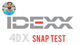 How to perform IDEXX 4DX Snap Test  Veterinarian heartworm [upl. by Lucier60]