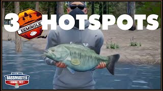 Lake Seminole Hotspots  Bassmaster Fishing 2022 tournament tactics [upl. by Suivatram]