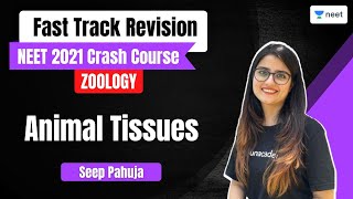 Animal Tissues  Fast Track Revision  NEET Biology  Seep Pahuja [upl. by Aryamo]