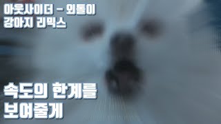 아웃사이더Outsider  외톨이Loner 강아지 리믹스 [upl. by Malet]