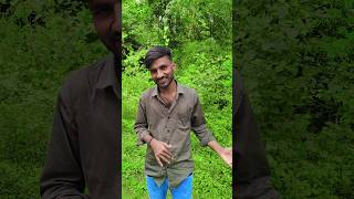 Tum chupana sakoge main wo raaz hoon music song hindisong bollwoodsongs bollywoodmusic [upl. by Jacy]