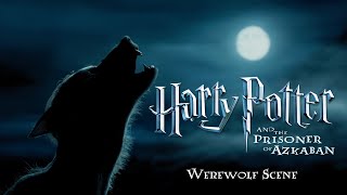 Werewolf Scene  Harry Potter and the Prisoner of Azkaban Complete Score Film Mix [upl. by Annola526]