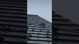 Roof scrape Belfast satisfying asmrsounds asmrvideo diy pressurewashing spray [upl. by Erialb]