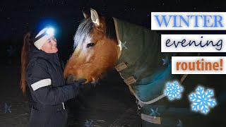 My Real Winter Evening Routine With Horses At Home [upl. by Euphemie269]