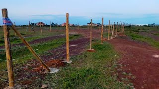 Fencing in Kenya Step by step process  Construction In Kenya [upl. by Aissyla]