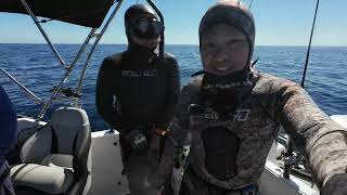 2024 Fishing and Spearfishing Trip Channel Islands [upl. by Mahalia]