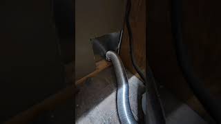 how to blow out dryer a vent [upl. by Binky]