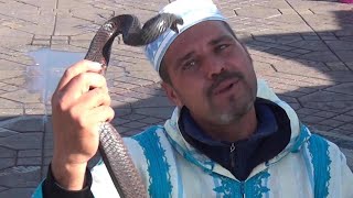 MARRAKESH MOROCCO Snake Charmer [upl. by Edelson]