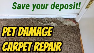 Pet Damage Carpet Repair [upl. by Castro]