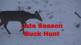 Late Season Buck Hunting [upl. by Waligore]