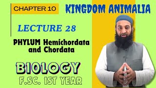 PHYLUM Hemichordata and Chordata I Chapter 10 I FSc I First Year I biology I Lec 28 [upl. by Ateekal]