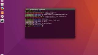 Linux Basics How to Copy Files and Directories [upl. by Eirrab982]