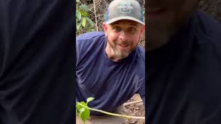 Visiting Coffee Farm in Guatemala Huehuetenango [upl. by Nakada859]