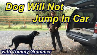 Dog will not jump in car [upl. by Ailaroc]