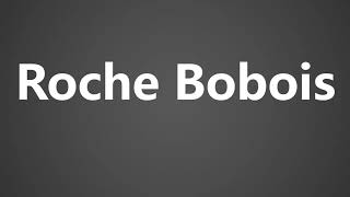 How To Pronounce Roche Bobois [upl. by Nievelt743]