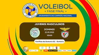 Figueira VC x SL Benfica  Fase Final Juvenis Masculinos [upl. by Tager319]