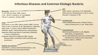 Bacterial Etiologies of Common Infections Antibiotics  Lecture 2 [upl. by Adam]