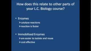 Application of Immobilised Enzymes [upl. by Uno621]