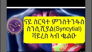 respiratory syncytial virus explained in tigrinya ስርዓተ ምስትንፋስ ዘጥቅዕ ሕማምRSvirus ኣብ ህጻናት ብኸመይ ንከላኸሎ [upl. by Amarette]