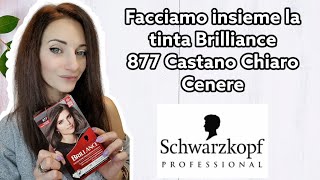 Facciamo insieme la TINTA PALETTE schwarzkopfpro 877 CASTANO CHIARO CENERE newlookconpalette [upl. by Aurelie914]