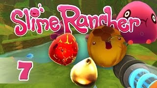 Slime Rancher  7  Меден слайм Експлодиращ слайм Пъдъл слайм и още [upl. by Benson630]