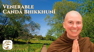 Equanimity at the Six Sense Doors  Ven Canda Bhikkhuni [upl. by Heins]