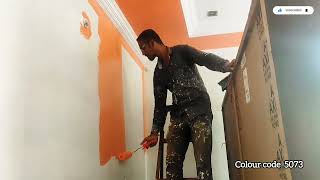 JSW Paints  Aurus Rejal Interior Silk  Colour Code  Blazing Ember 5073  Apricot Crush 2124 [upl. by Reggis920]