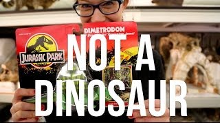 Dimetrodon is Not A Dinosaur [upl. by Devinne]