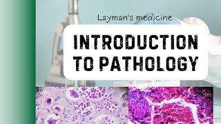 Introduction to Pathology Hindi lecture [upl. by Flam534]