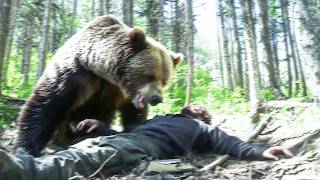 Grizzly Bear MAULS Forestry Worker During Field Inspection on October 20th 2024 [upl. by Guthrey]