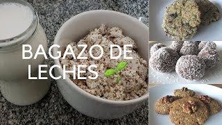 🌱3 RECETAS PARA UTILIZAR EL BAGAZO PULPA RESTO DE LECHES VEGETALES🌱BAGAZO DE ALMENDRAS🌱 [upl. by Negaem]