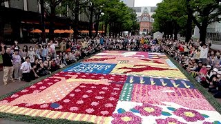 札幌に花びらのじゅうたん アートで市民魅了「フラワーカーペット２０２３」 [upl. by Cristabel]