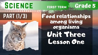 Science  Grade 5  Food relationships among living organisms  Part 13  Unit Three  Lesson One [upl. by Culberson]