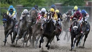 2009 Preakness Stakes [upl. by Arlie700]