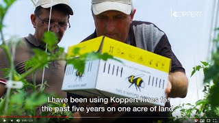 How to propagate peas and prevent pests  Gardening 101  Gardening Australia [upl. by Annavaj]