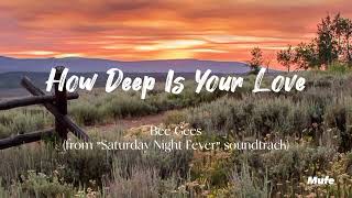 How Deep Is Your Love  Bee Gees Lyrics [upl. by Gad597]