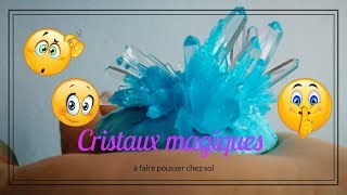 💎💎💎Cristaux magiques poussent à la maison 💎💎💎 [upl. by Sivek]