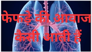 breathing sound  breath sound auscultation breath sound kaisa hota hai  complete breath sound🔊 [upl. by Ytrebil]