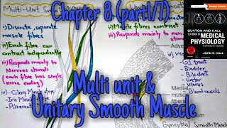 Multiunit and unitary smooth muscle  chapter 8 part 17 Guyton and hall text book of physiology [upl. by Inajna]