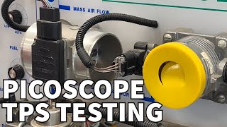 PicoScope Basics Testing a Throttle Position Sensor TPS [upl. by Rebna]