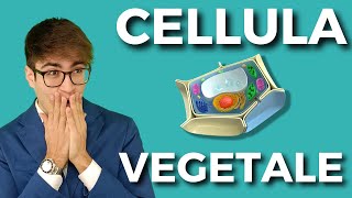 LA CELLULA VEGETALE in meno di 5 minuti [upl. by Sucam]