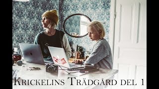 Krickelins Trädgård [upl. by Prussian]