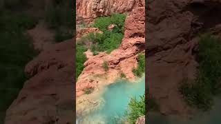 “Havasu FallsAJourney Through Nature’s Wonderland”arizona shorts shortsvideo youtubeshorts [upl. by Nosyk452]