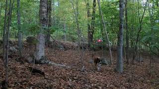 20 Minutes Of A Creepy Neighbor Stopped In The Road Above the Farm [upl. by Balsam]