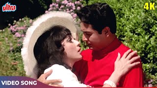 विश्वजीत और माला सिन्हा का रोमांटिक अंदाज़ 4K  Night in London  Superhit Hindi Classic Songs [upl. by Ylesara]