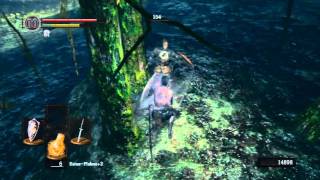 Lets Play Dark Souls Dieb 07  SKlasse [upl. by Linders]