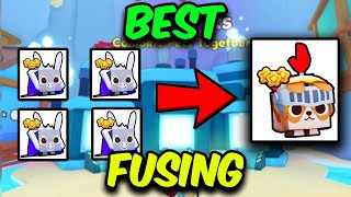 NEW Best Fusing Method For Full Team Of Knight Beagle In Roblox Pet Simulator 99 [upl. by Ahsin700]