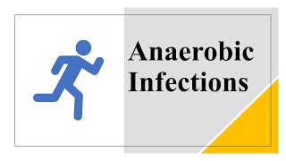 Anaerobic Infections [upl. by Abana]